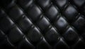 Sepia luxury buttoned black leather Royalty Free Stock Photo