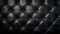 Sepia luxury buttoned black leather Royalty Free Stock Photo