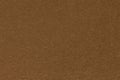 Sepia paper texture. Background. Royalty Free Stock Photo