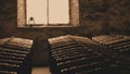 Sepia photo of historical wine barrels in window Royalty Free Stock Photo