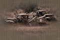 Sepia pickup trucks with vignette Royalty Free Stock Photo