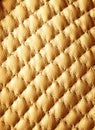 Sepia picture of genuine leather