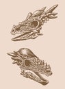 Sepia set of skulls of dinosaurs, vintage illustration