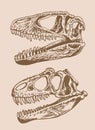 Sepia set of skulls of dinosaurs, vintage illustration