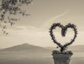 Sepia shot of a wedding decoration heart shape made of a plant in front of Mount Vesuvius, Italy