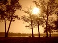 Sepia Sunset in the Park Royalty Free Stock Photo