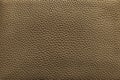 Sepia texture of leather material