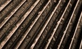 Sepia toned abstract palm leaf with water drops on it Royalty Free Stock Photo