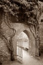 Sepia toned gate Royalty Free Stock Photo