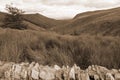 Sepia view of long grass and road with green mountains Royalty Free Stock Photo