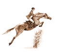 Sepia watercolor rider and horse, jumping a hurdle in forest on white.