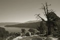 Sepia Wilderness Lake Royalty Free Stock Photo