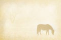 Sepia writing paper with horse Royalty Free Stock Photo