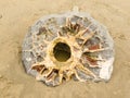 Septarian concretion of NZ found Moeraki boulder Royalty Free Stock Photo