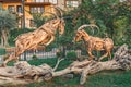 Creative sculptures of fighting mountain goats created from branches and wooden parts in