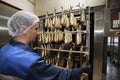 Fish factory.A worker pushes a smoked fish cart into an industrial oven Royalty Free Stock Photo