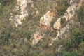 September 28 2022 - Bloukrans Bridge, South Africa: An unidentified bungee jumper free falling in the worlds highest commercial