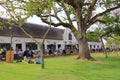 September 25 2022 - Cape Town, South Africa: People enjoy weekend in the Groot Constantia vineyard Royalty Free Stock Photo