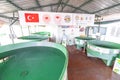 Loggerhead turtle rehabilitation, rescue and research center near Iztuzu beach. Large basins of