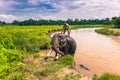 September 09, 2014 - Elephant bath Chitwan National Park, Nepal Royalty Free Stock Photo