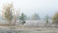 September foggy morning with the first frosts Royalty Free Stock Photo