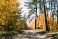 September forest color road with blue sky.