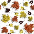 September forest maple leaves attractive cute fashion seamless sunny black; white; orange; yellow; low poly autumn