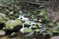 September in the Giant Mountains, foaming water in the stream Royalty Free Stock Photo