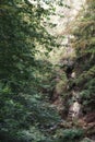 September in the Giant Mountains, a rock on the bank of a stream Royalty Free Stock Photo