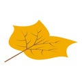 September leaf icon, isometric style Royalty Free Stock Photo
