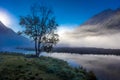 September 2, 2016 - Lone tree with morning fog seen on Tern Lake, Kenai Penninsula, Alaska