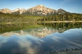 September morning - Jasper