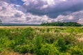 September 03, 2014 - Panorama of Chitwan National Park, Nepal Royalty Free Stock Photo