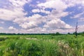 September 03, 2014 - Panorama of Chitwan National Park, Nepal Royalty Free Stock Photo