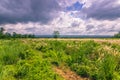 September 03, 2014 - Panorama of Chitwan National Park, Nepal Royalty Free Stock Photo