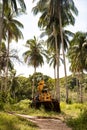 September 25, 2020: Pulau Redang Terengganu, Malaysia: Abandoned yellow backhoe on the land with coconut tree as a background
