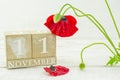 11 September with red poppy Royalty Free Stock Photo