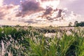 September 04, 2014 - Sky above Chitwan National Park, Nepal Royalty Free Stock Photo