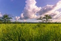 September 04, 2014 - Sky above Chitwan National Park, Nepal Royalty Free Stock Photo