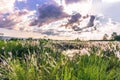 September 04, 2014 - Sky above Chitwan National Park, Nepal Royalty Free Stock Photo