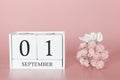 September 01st. Day 1 of month. Calendar cube on modern pink background, concept of bussines and an importent event