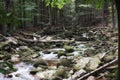 September in the Sudetes, a mountain stream in Karkonosze