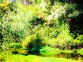 September small river and forest Royalty Free Stock Photo