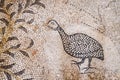 September 14, 2019. Tabgha, Israel. The Church of the Multiplication of the Loaves and Fish. Floor mosaic, details