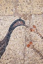 September 14, 2019. Tabgha, Israel. The Church of the Multiplication of the Loaves and Fish. Floor mosaic, details Royalty Free Stock Photo