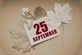 september 25. 25th day of month, calendar date.Envelope with the date and month, surrounded by autumn leaves on brown