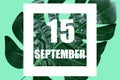september 15th. Day 15 of month,Date text in white frame against tropical monstera leaf on green background autumn month