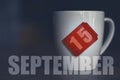 september 15th. Day 15 of month,Tea Cup with date on label from tea bag. autumn month, day of the year concept