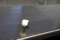 September 11th memorial in lower Manhattan. NYC. USA Royalty Free Stock Photo