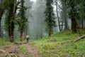 September 15th 2021 Uttarakhand INDIA. A solo Hiker with a backpack and walking stick on a trail in the jungles of Himalayas